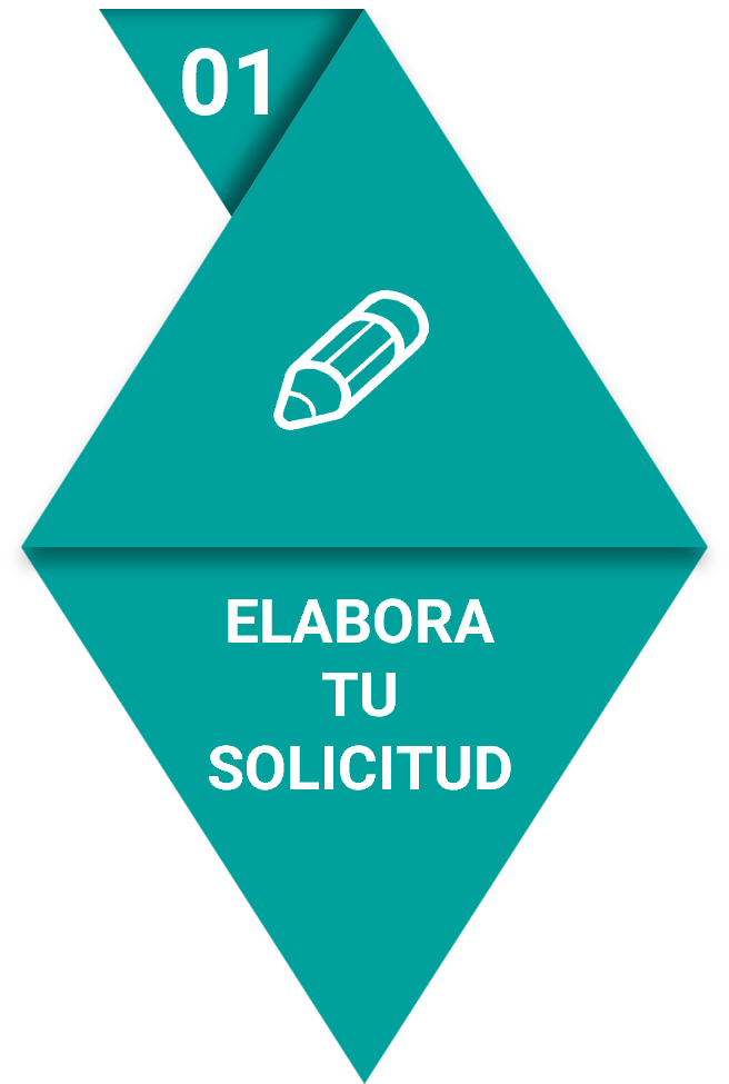 Elabora tu Solicitud